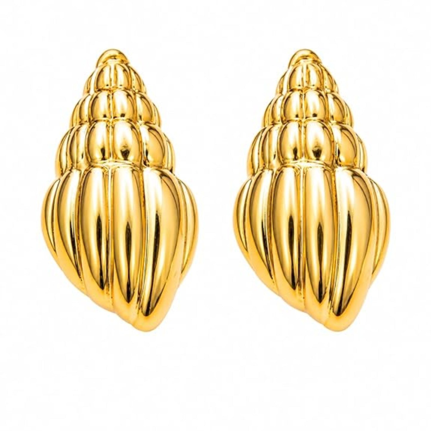 Stainless Steel Conch Shell Earring for Women