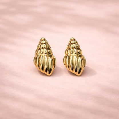 Stainless Steel Conch Shell Earring for Women