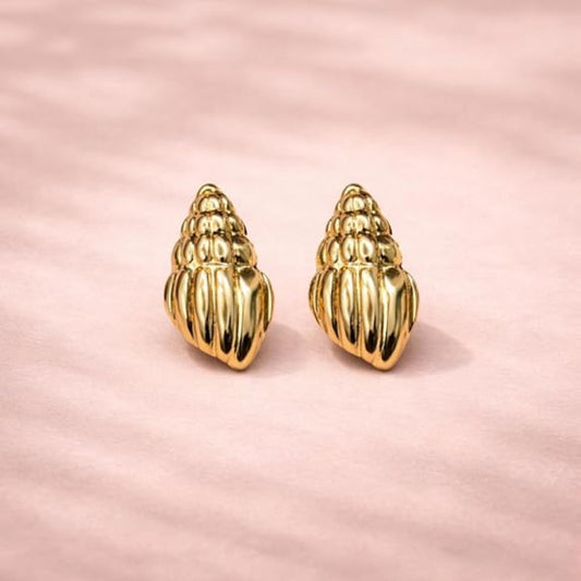 Stainless Steel Conch Shell Earring for Women