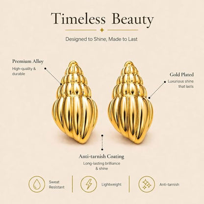 Stainless Steel Conch Shell Earring for Women
