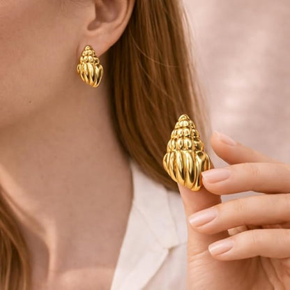 Stainless Steel Conch Shell Earring for Women